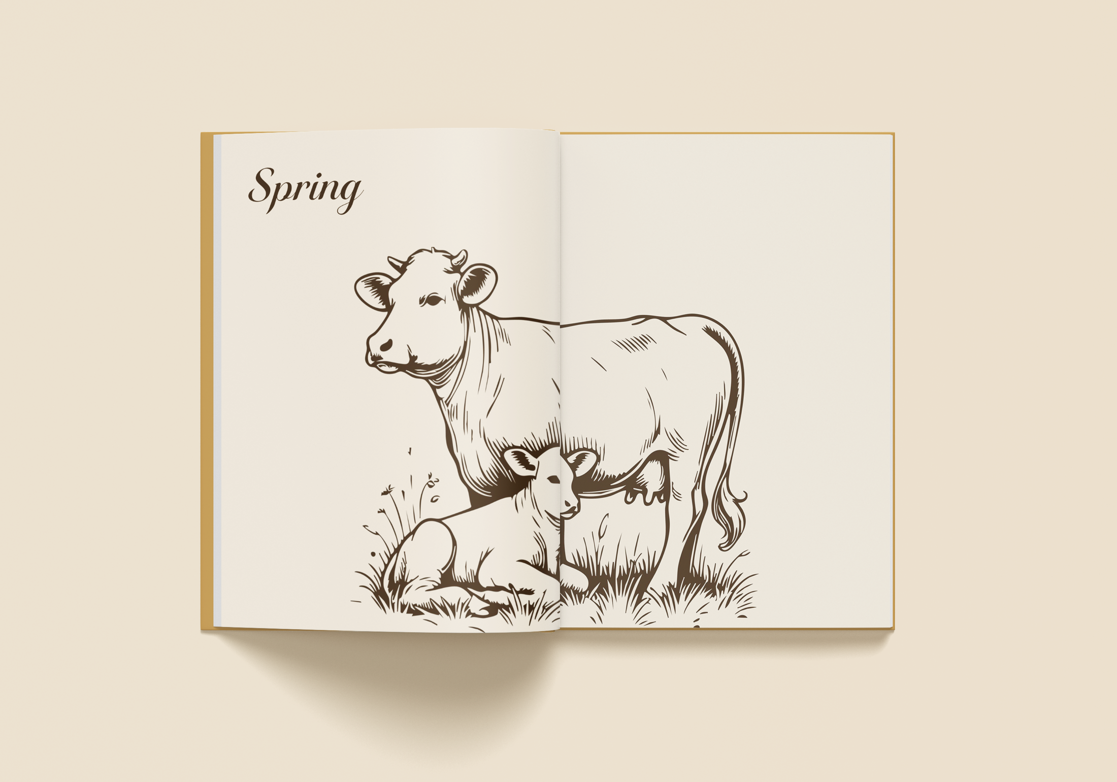 Cookbook spring recipe spread