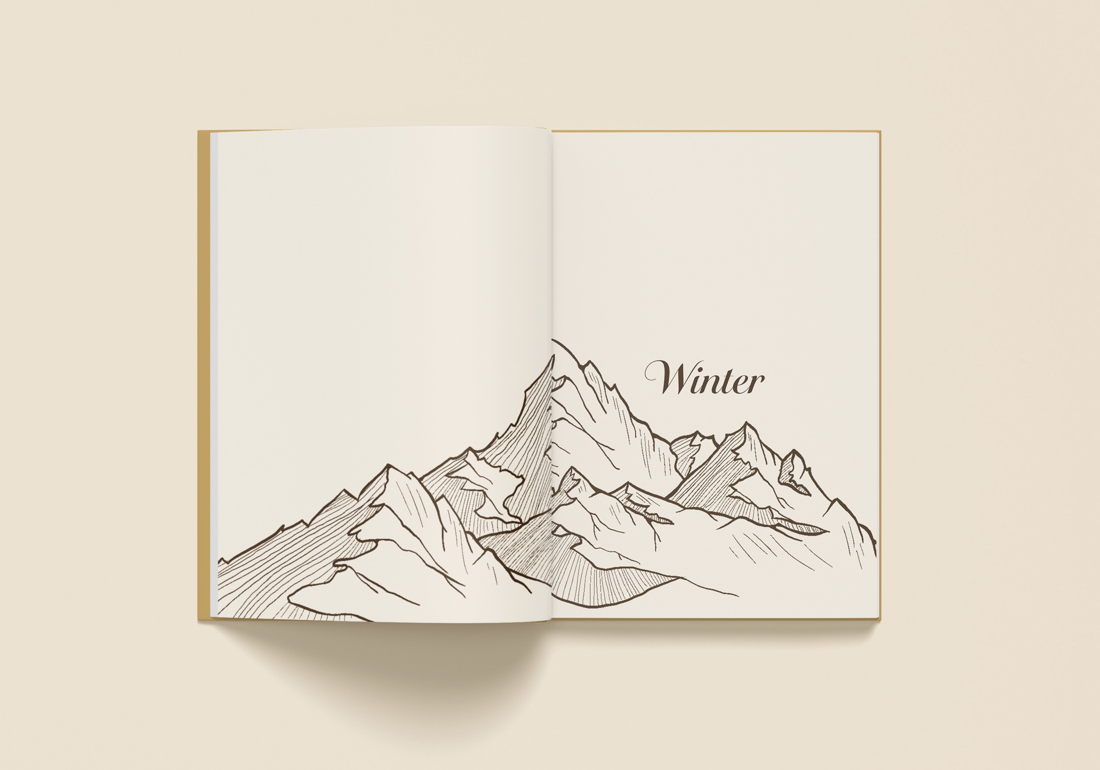 Cookbook winter spread