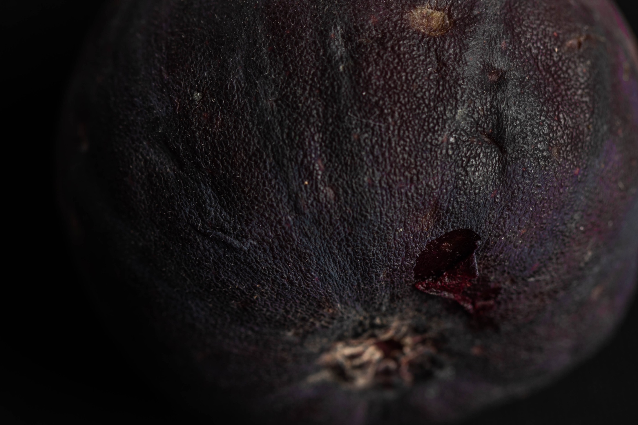 Still life photography with dark fruit