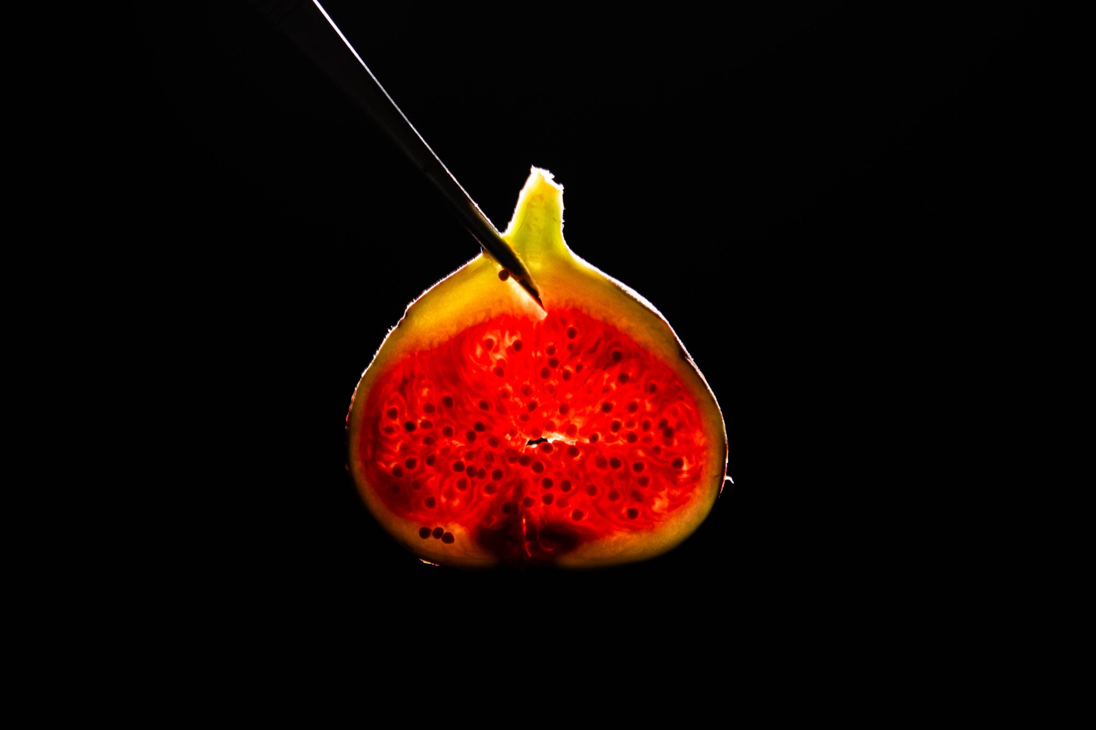 Still life fig detail