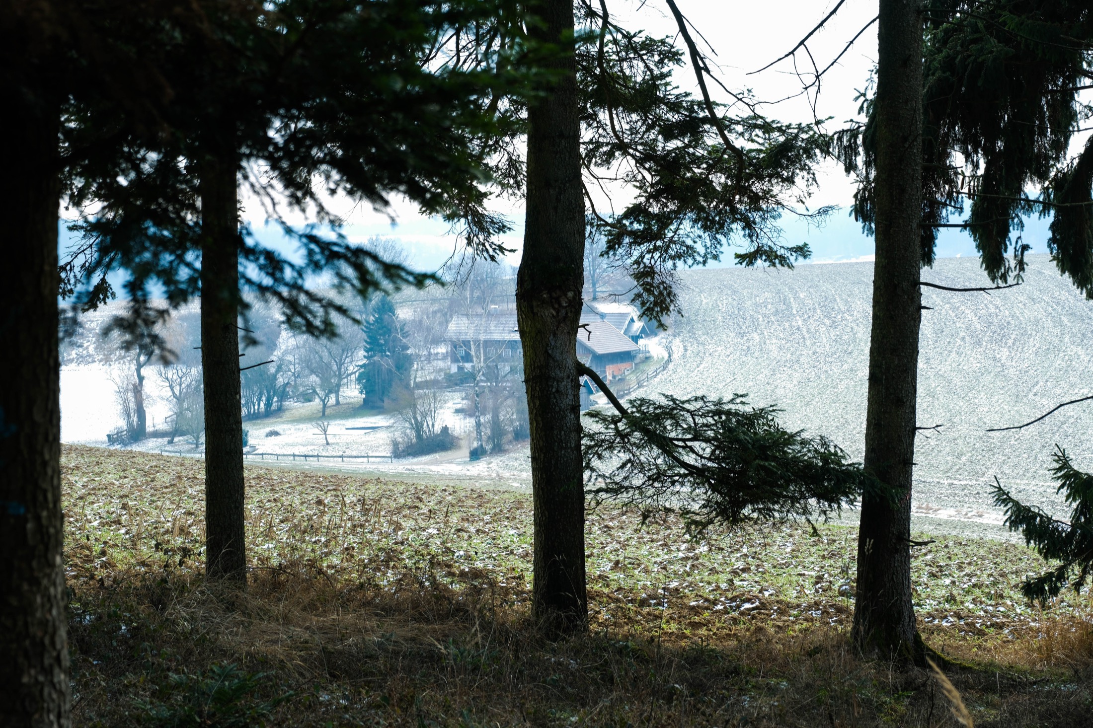Landscape from When the world outside falls quiet