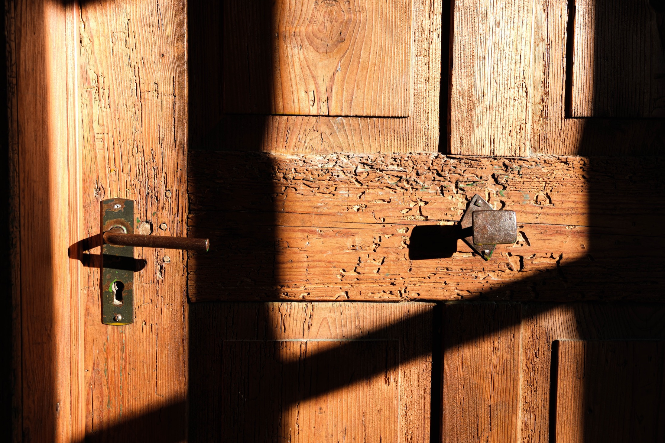 Warm interior door detail